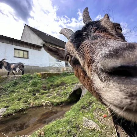 Seeblick - Tiny Nr 3